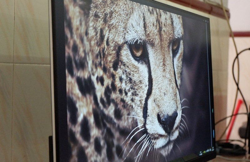 无频闪24寸显示器推荐,低蓝光不闪屏专业显示器