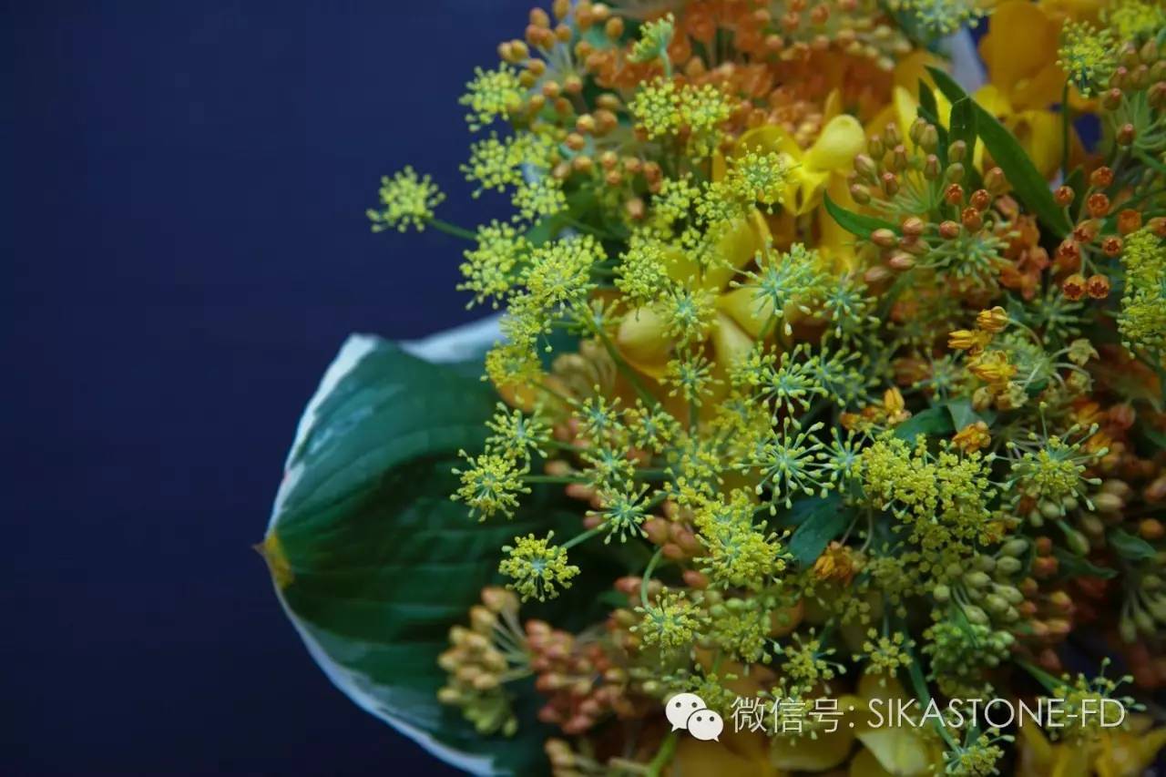 “只要有家花店，有些事就一定是要做的”——魏红波