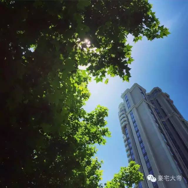 那些你路过却不曾进去过的法租界豪宅｜豪宅大帝独家毒辣点评