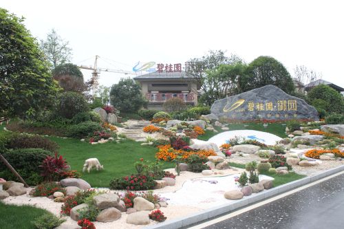 听见江南的心跳,目睹碧桂园御园豪宅风范