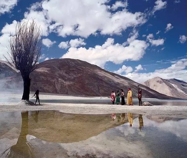 视觉盛宴体验爱丽丝梦游仙境,爱丽丝梦游仙境一个美丽的画面