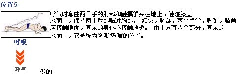 瑜伽拜日a的变体,瑜伽拜日a体式图片