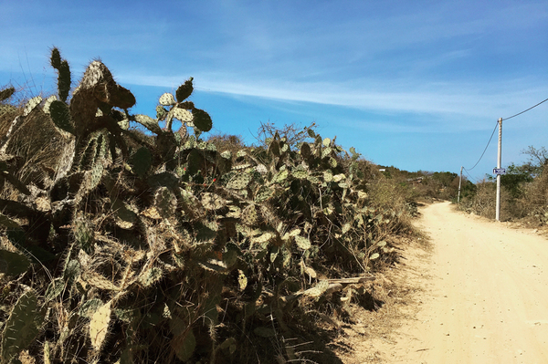 越南美奈溪美景,越南美奈越南语