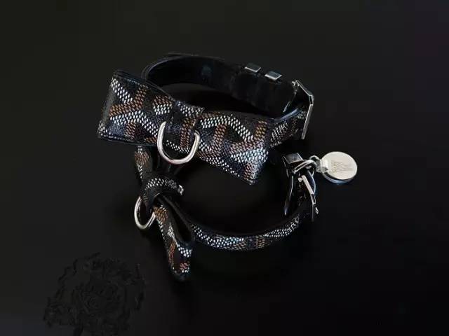 奢品牌丨Goyard，这个征服了老佛爷的奢侈品箱包鼻祖