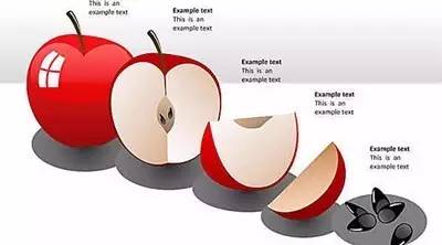解决宠物十大皮肤问题,宠物美容避免走弯路的方法