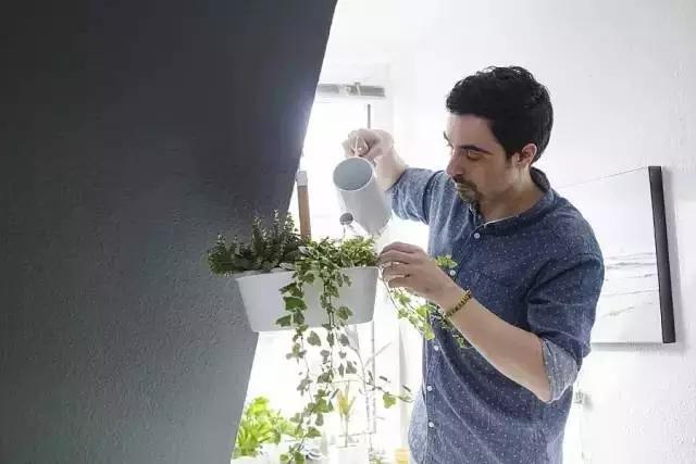 生活中的数字元素,无处不在的自然元素