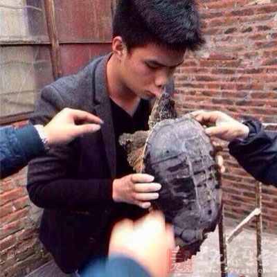 玩乌龟的下场有哪些,玩王八