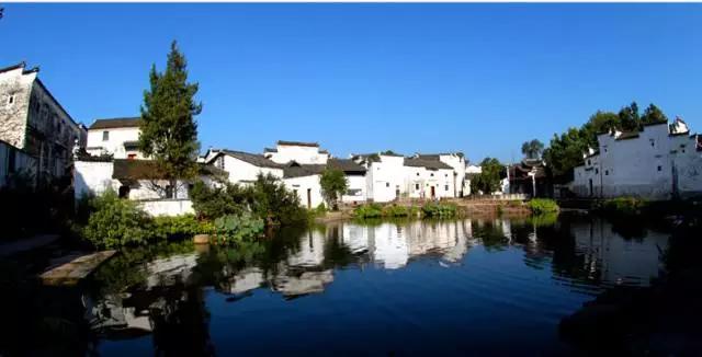 浙江哪个市的美女最多