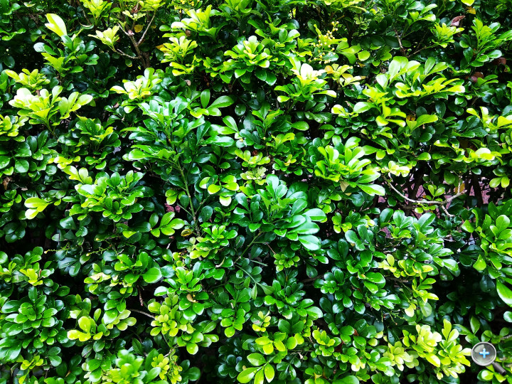 小米max评测视频,小米max86深度评测