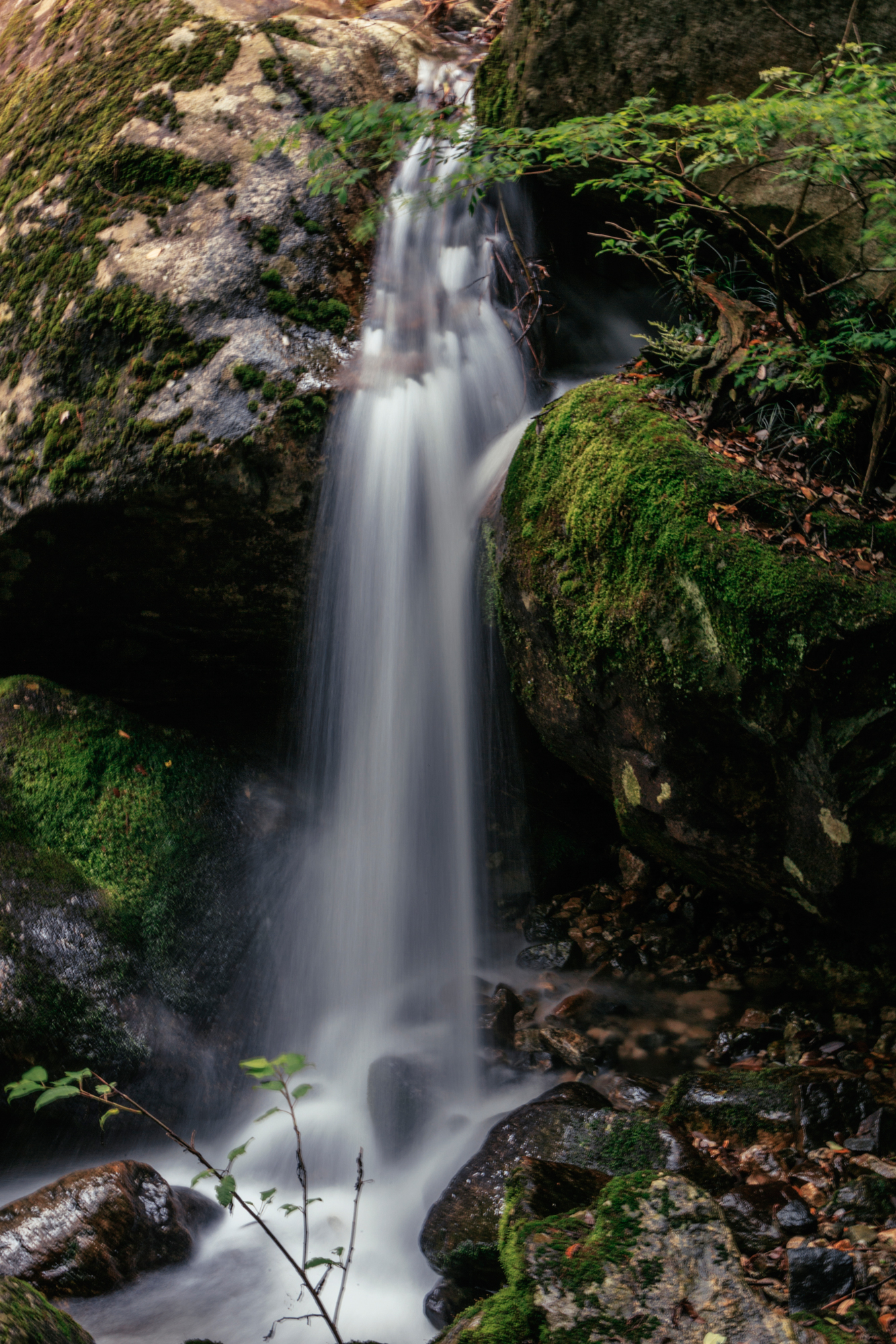 探秘大别山天堂寨的自然美景,天堂寨和大别山哪个更值得去