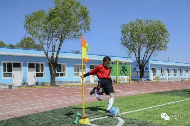 延庆区第十九届校园足球联赛,延庆区2024足球赛高中