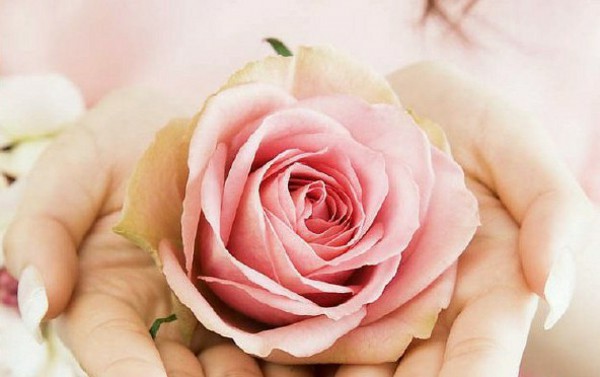 医学微视慢性盆腔炎,2023年盆腔炎检查报告单图片