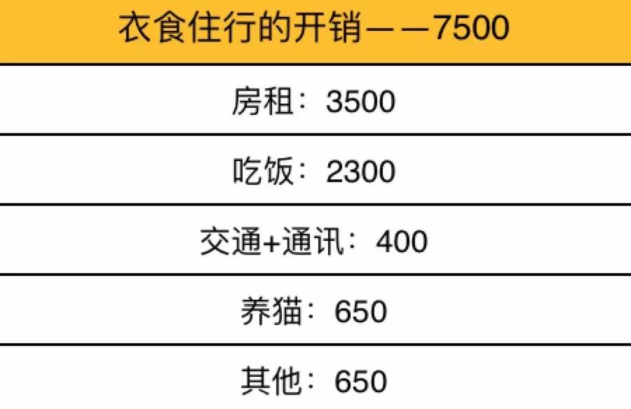 家有吉祥招财猫,家有招财猫还有聚宝盆