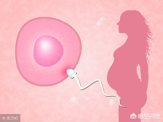 安全期避孕真的安全吗？