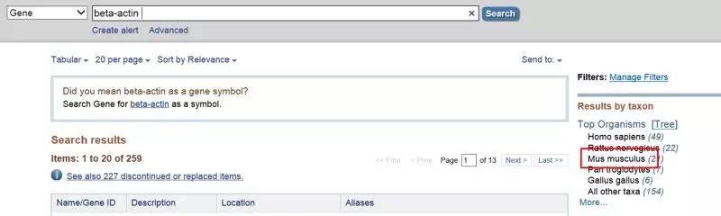 pcr引物设计软件优缺点,idt的在线引物设计工具