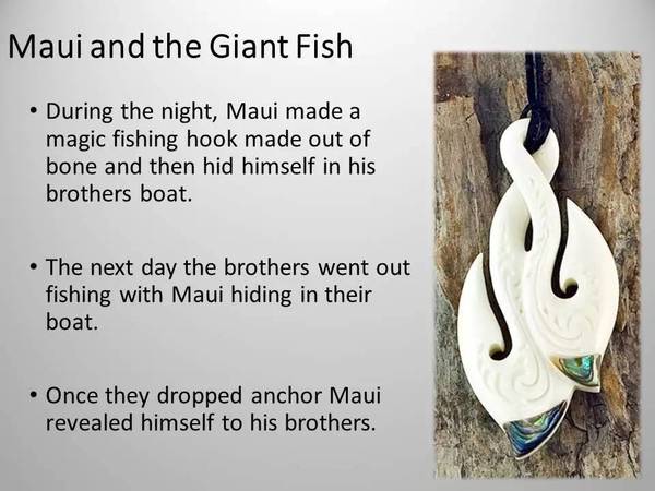 卓悦英语课程,卓悦英语速记