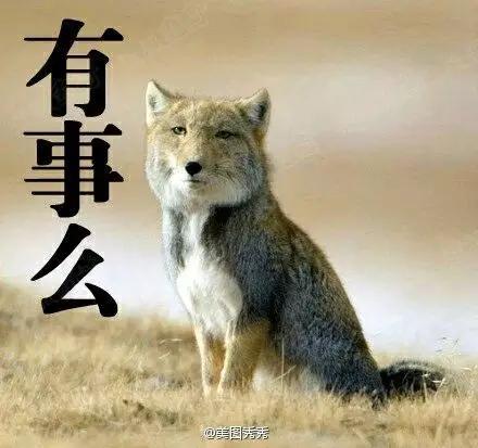 高考作文表情包和文体,高考万能作文图片