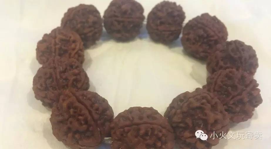 逗逼|大宝和金刚不能说的秘密！