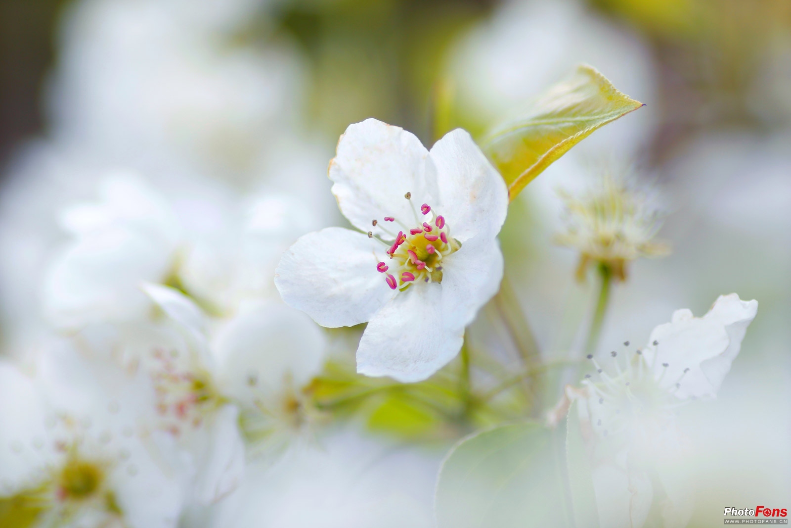 佳能eosm50markii微单开箱,记录生活的便捷相机