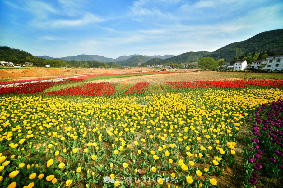 山灵水韵，德才兼备，了不起的安庆*光春**