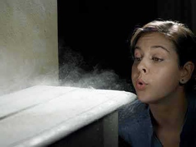 怎样赶跑小飞虫,对付灰尘的最佳方法