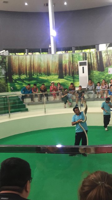 甯︾潃鐗涢瓟鐜嬬湅鏄熸槦,甯︾潃鐗涢瓟鐜嬪嚭鏉ョ湅涓婂笣