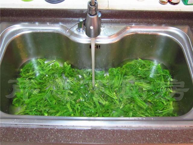 香椿芽腌制方法好吃还放不坏,香椿芽的腌制方法和时间