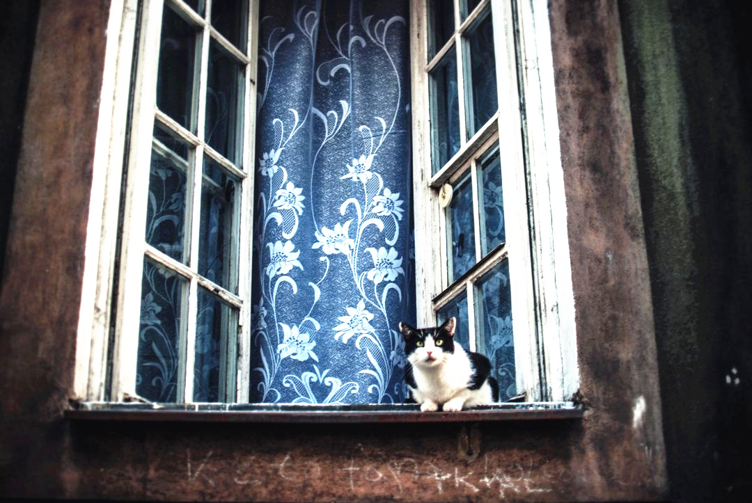 品牌门如何选择,怎么才能选品牌门