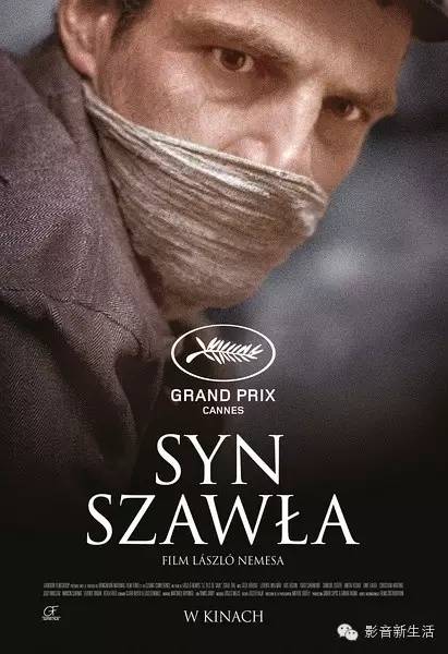 小李子ladygaga上热搜后反应,网红小李子被封号的原因