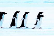 omg吃多了会怎么样,omg一顿能吃多少