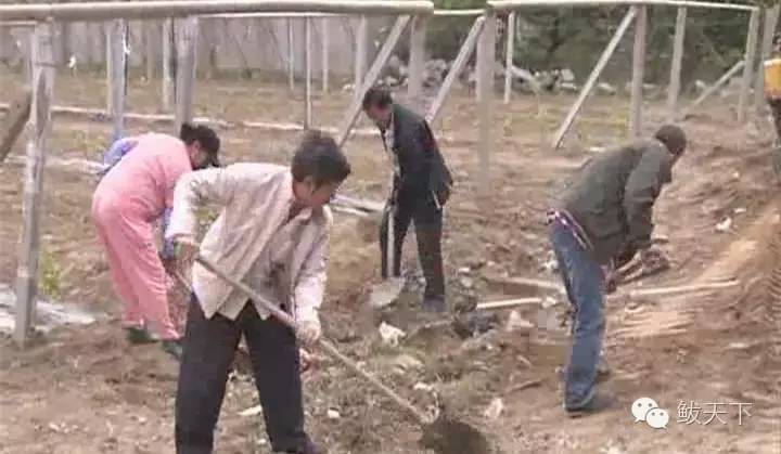 美丽乡村新建设视频,美丽乡村建设坑塘篇