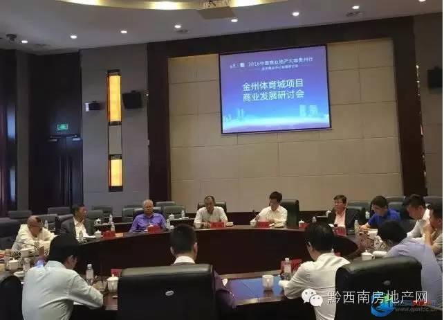 王玮房地产,王玮商业洞察