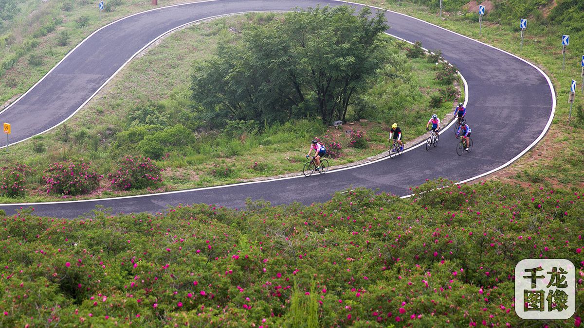 玫瑰花海旅行攻略,玫瑰花海自驾游攻略