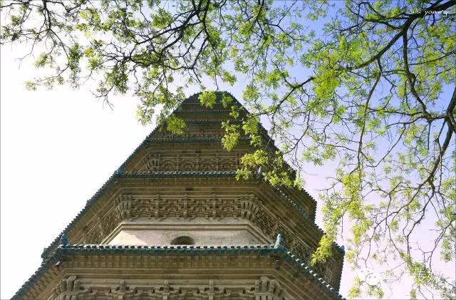 高考后想去看海,高考后想去哪个城市