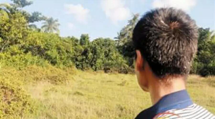 月白风清春华秋实,满仓和静梅爱情