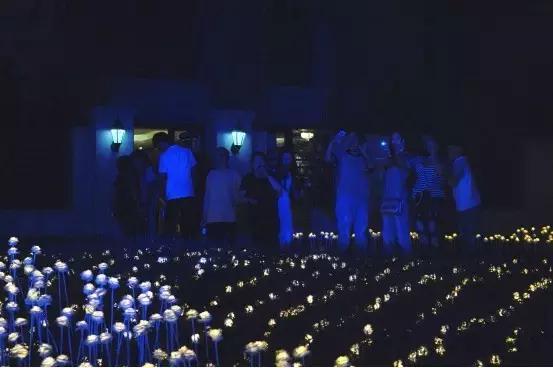 星空玫瑰首映爆棚!开封万人空巷!