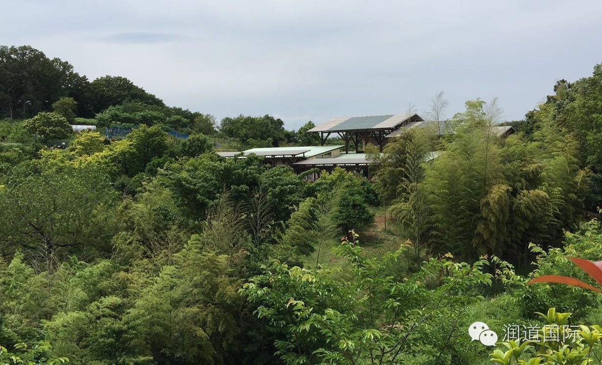 风之谷幼儿园教育特色,风之谷幼儿园青海