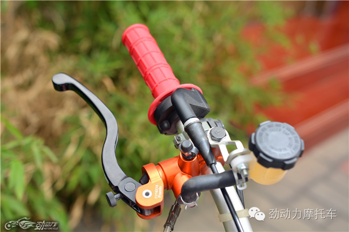 复古造型量产车,复古外形量产车