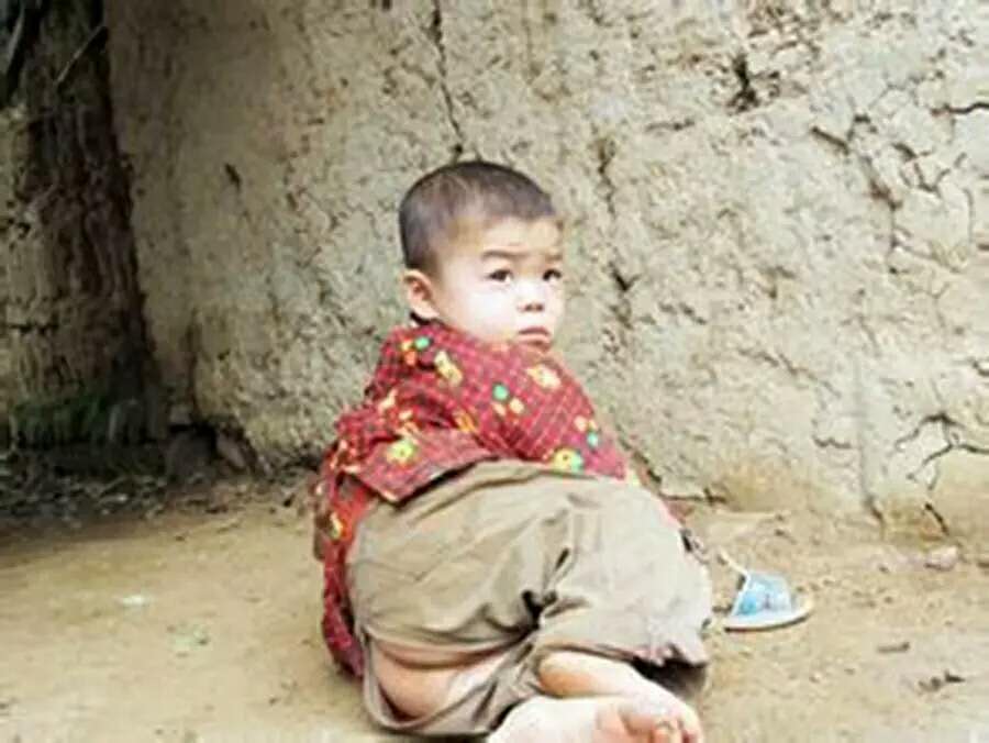 月白风清春华秋实,满仓和静梅爱情