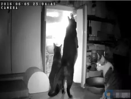 实况足球2016一球成名修改,2016欧洲杯夺冠历程