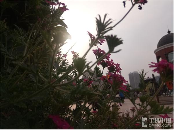 金立s6pro拍照好看,金立s6pro视频