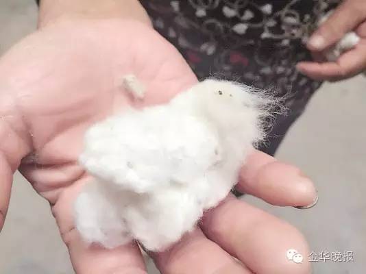 这门老手艺,也许我们以后就看不到了