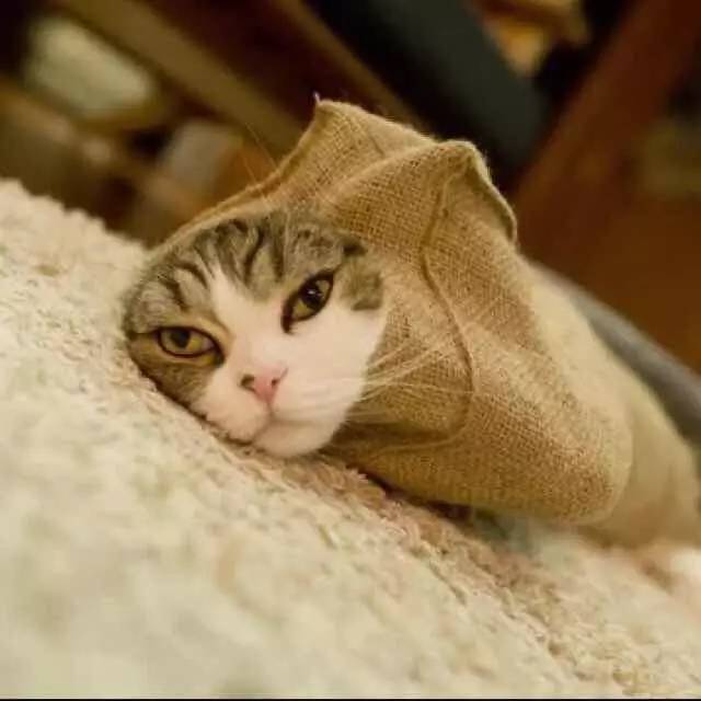 人生苦短不能只买基本款（二）