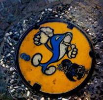 为什么要落户青岛,在青岛定居的真实感受