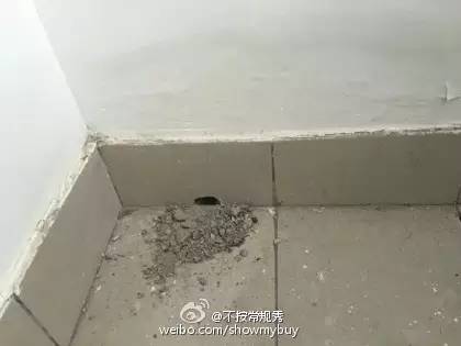 有没有出现过猴年马月,以后是不是真的就有猴年马月了