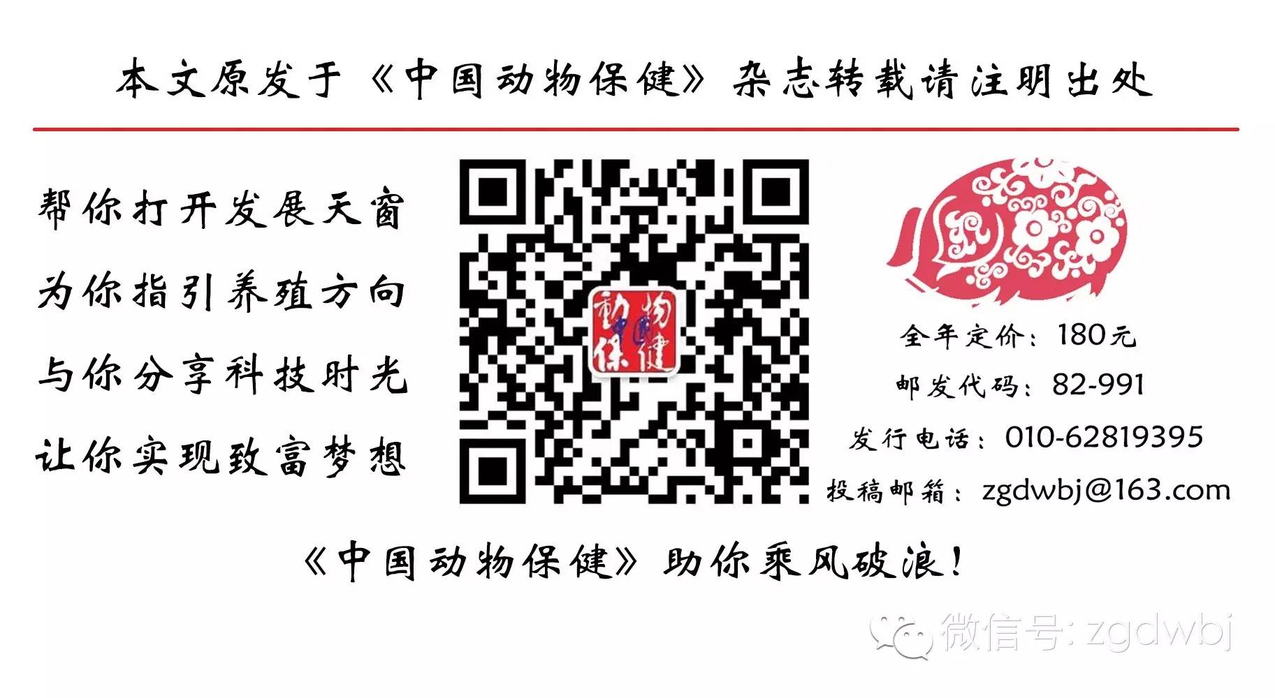 雏鸡伤寒用什么药治疗,雏鸡伤寒的症状和治疗