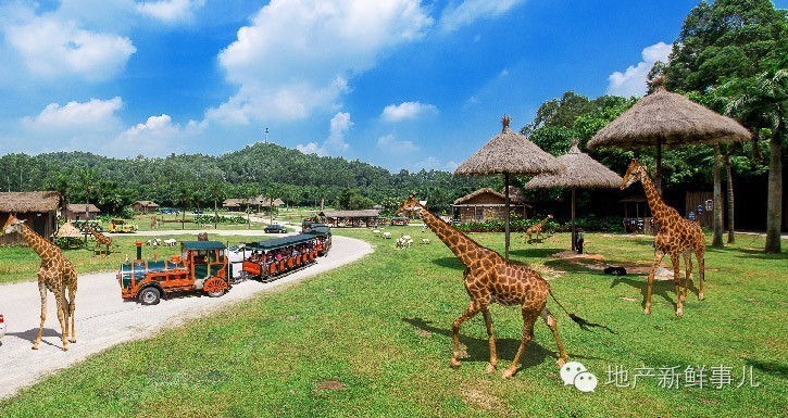 郑州长隆动物园,郑州野生动物园和长隆野生动物园