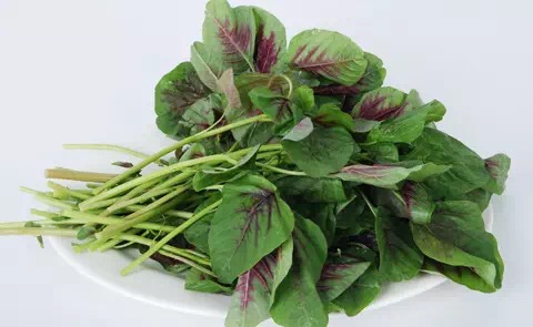 越吃越瘦的10种蔬菜减肥又减脂,减肥最适合吃的4种蔬菜