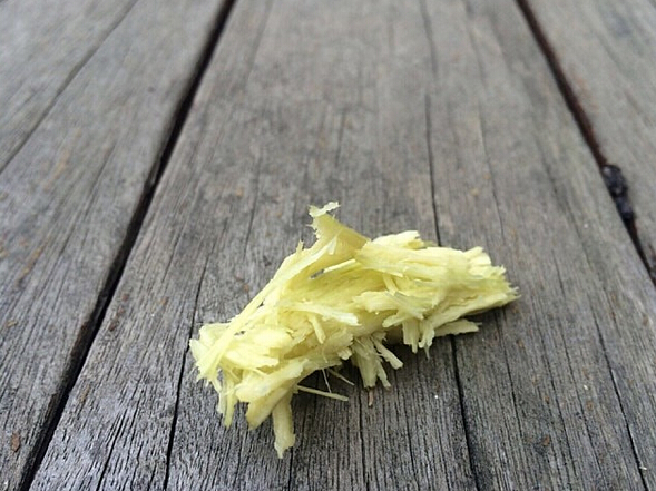 熊猫吃竹子为什么不用吐渣,熊猫吃竹子为什么不会割伤