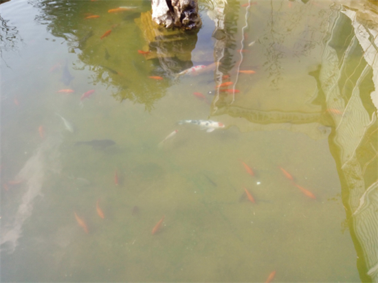 绾㈢背note3鍜屽皬绫硁ote3鏈夊尯鍒悧,绾㈢背note3榄呰摑note3